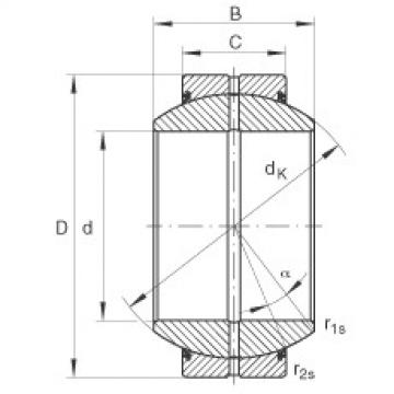 Rolando GE35-FO-2RS INA