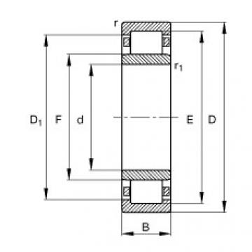 Rolando NU2330-E-M1 FAG