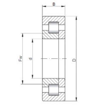 Rolando NUP2204 ISO