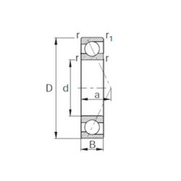 Rolando 7313B CYSD