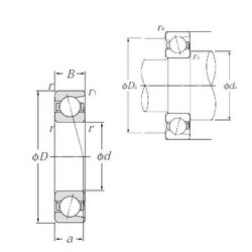 Rolando 7001 NTN