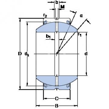 Rolando GEH 20 ESX-2LS SKF