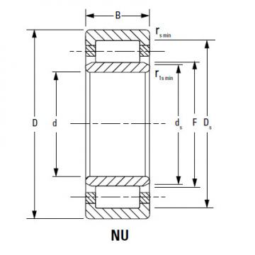 Bearing NJ2220EMA