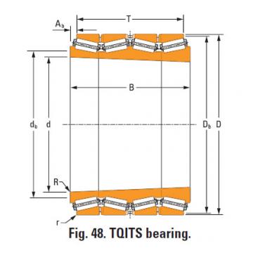 Bearing nP236431 nP250466 single cup