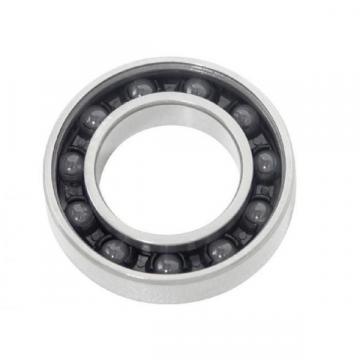 101KSZZ MRC New Single Row Ball Bearing (S14RAL)