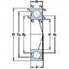 Rolando 7024 ACD/HCP4A SKF