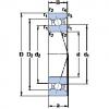 Rolando 7019 ACB/HCP4A SKF