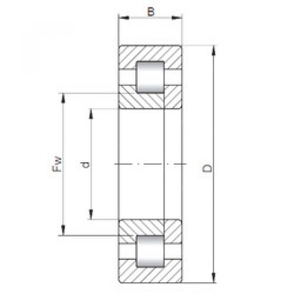 Rolando NUP2204 ISO #1 image