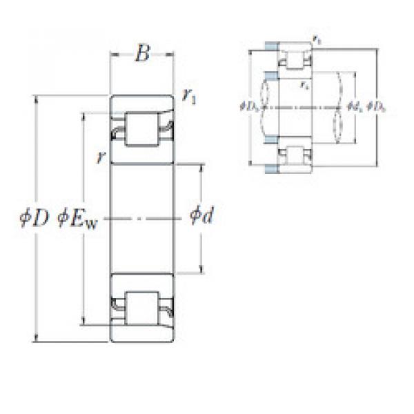 Rolamento NF1009 NSK #1 image