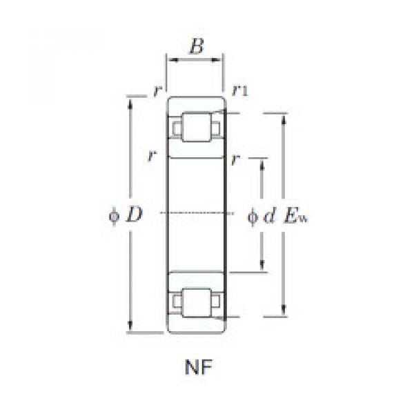 Rolamento NF219 KOYO #1 image