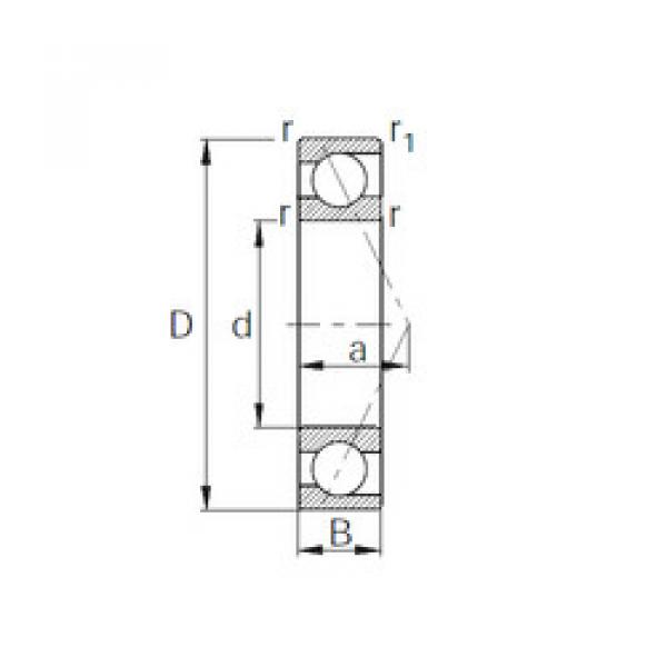 Rolando 7313B CYSD #1 image