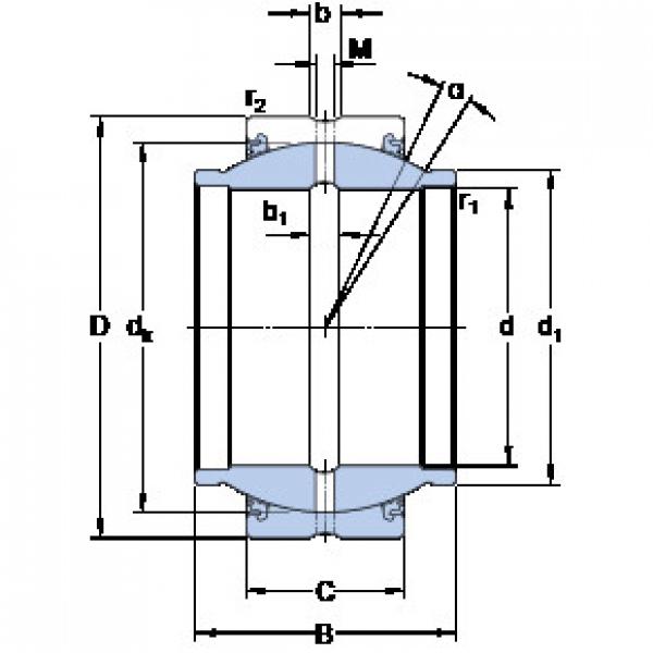 Rolando GEZM 300 ESX-2LS SKF #1 image